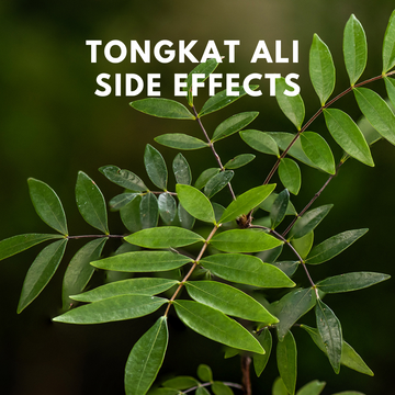 FI - Tongkat Ali Side effects