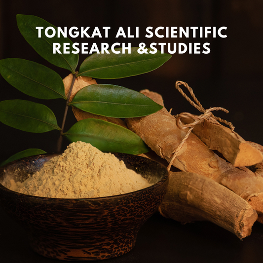 Tongkat Ali - What does scientific research & studies Say about this magic herbal root. By Healer Labs London