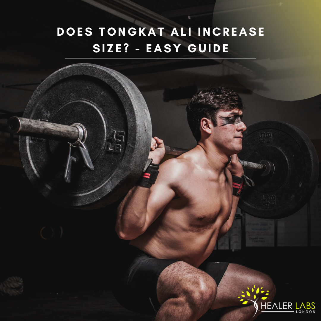 Easy Guide 2023 By Healer Labs London