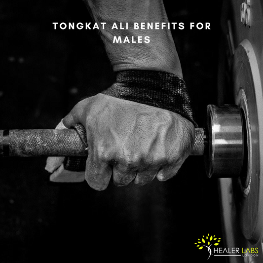 Tongkat Ali Benefits for Males - A Complete Guide 2023 By Healer Labs London