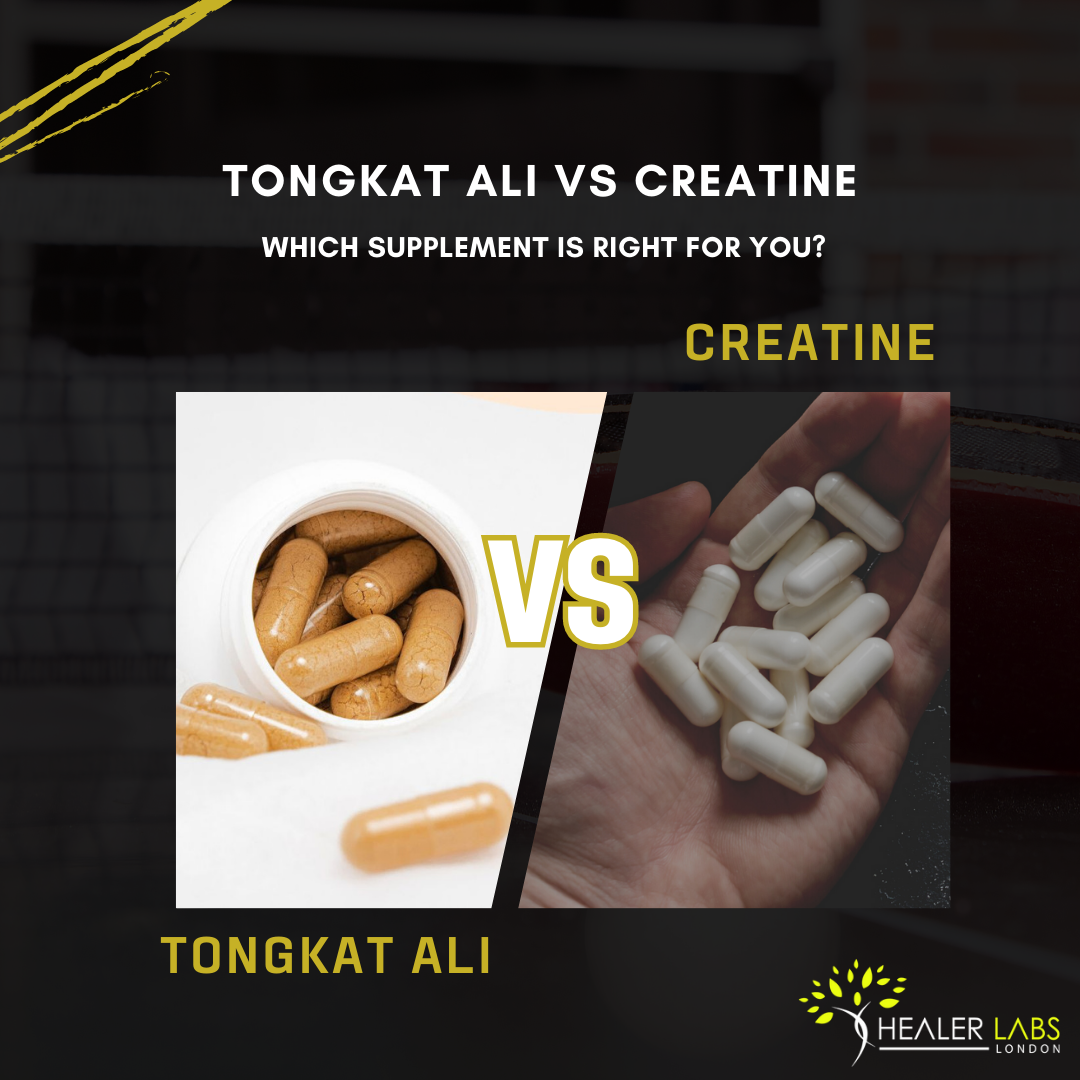 Tongkat Ali vs Creatine - Which One Is Better to Use In 2023