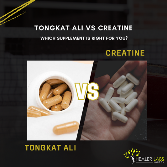 Tongkat Ali vs Creatine - Which One Is Better to Use In 2023 By Healer Labs London