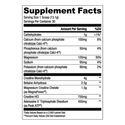 RYSE Loaded Creatine By Healer Labs London