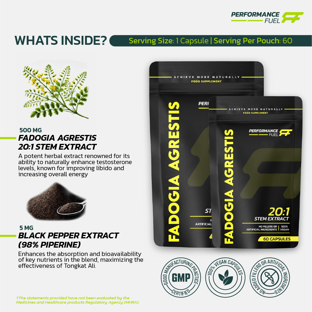 Fadogia Agrestis 20:1 By Healer Labs London