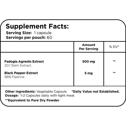Fadogia Agrestis 20:1 By Healer Labs London