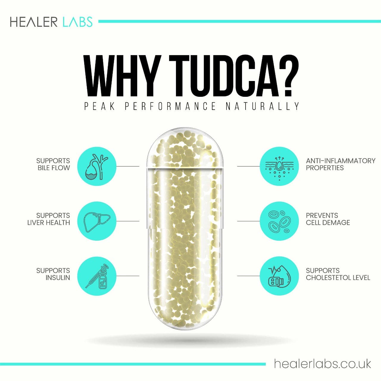 Liver Detox TUDCA + NAC With Milk Thistle.